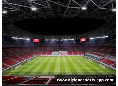 瑞典之光:聚焦球场传奇 瑞典之光:聚焦球场传奇