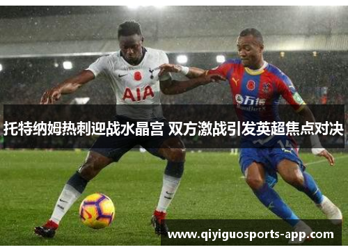 托特纳姆热刺迎战水晶宫 双方激战引发英超焦点对决