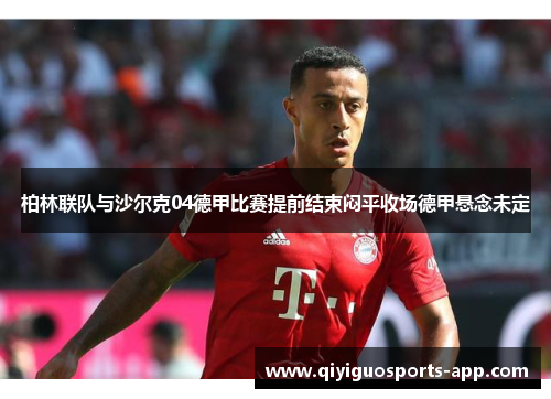 柏林联队与沙尔克04德甲比赛提前结束闷平收场德甲悬念未定