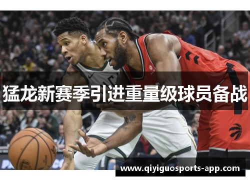 猛龙新赛季引进重量级球员备战