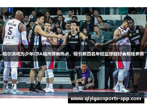哈尔滨成为少年CBA城市赛新热点，吸引数百名年轻篮球爱好者前往参赛